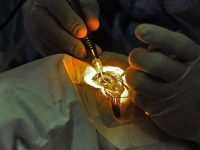 Ensuring patients have timely access to necessary medical care