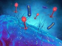 Why the “war” against bacteria is the wrong strategy