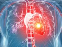Understanding the danger of silent heart attack: Causes, symptoms, solutions