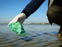 Healthcare waste from COVID threatens environment: WHO