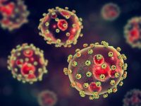 What Is Lassa Fever?