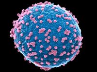 Study reveals how Covid-19 infections can set off massive inflammation in the body