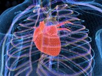 5 New Things to Know About Heart Health