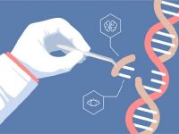 What is genetic engineering and how can it benefit healthcare?