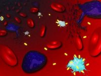 Small but mighty – how nanobodies are fighting chronic inflammation