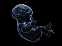 COVID-19 Infection During Pregnancy Results In High Inflammation For Infants