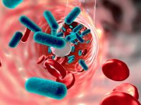 Feeling nauseated after eating? A viral or bacterial infection could be the trigger