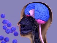 Even mild respiratory COVID can affect the brain
