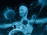 Your immunity has a life span