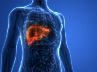 Rise In Liver Cancers: Symptoms, Causes & Treatment