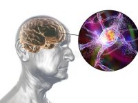 Brain inflammation may link Alzheimer’s risk with sleep disturbance