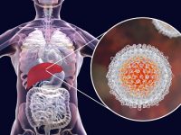 How can Hepatitis C affect other organs?