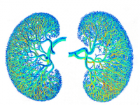 What is the link between hypertension and kidney disease?