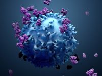 Why Supportive Care Is Critical to Cancer Care