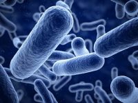 New treatment may help counteract food allergies and inflammatory diseases in future