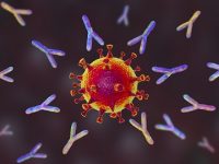 What is the prevalence of bacterial co-infections during COVID-19?