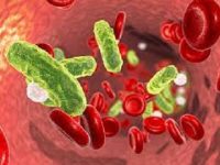 “Anti-inflammatory” enzyme plays proinflammatory role in sepsis