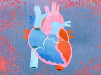 New easy-to-use test could rapidly diagnose heart attacks and cancers