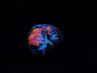 AI in healthcare can help save time & brain