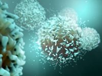 How we can reduce cancer risk in inflammatory bowel disease patients by blocking a Hedgehog