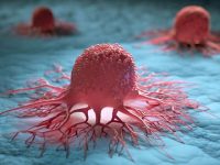 Scientists identify new driver for rare type of liver cancer