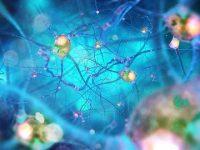 Natural treatments for chronic inflammation response syndromes