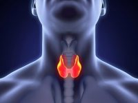 Safe to Expand Limits of Active Surveillance in Thyroid Cancer?