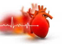 Late nights may increase risk of heart disease