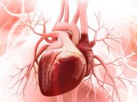 Heart Disease Facts and Statistics: What You Need to Know