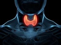 12 signs that your thyroid gland is not working as it should
