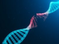 Customized drug to kill brain cancer cells