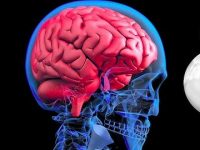 5 Things That May Increase Brain Inflammation