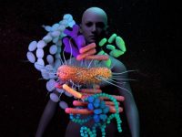 Ways to Prevent Gut Health Issues