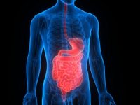 What Are Chronic Inflammatory Intestinal Diseases (IBD)?