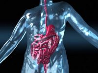 Inflammatory bowel disease: Issues outside the gut