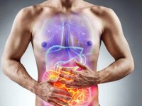 How ROS loss leads to inflammatory bowel disease