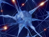 Neuroinflammation: The Key Component in Targeting Neurological Disorders