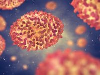 Monkeypox virus infection and its persistence in the testes of infected crab-eating macaques