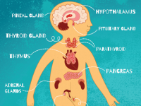 The Anatomy of a Panic Attack