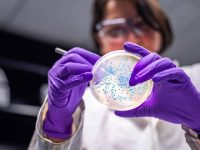 Is Antimicrobial Resistance A Slowly Looming Disaster?