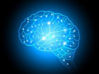 Declining anti-inflammatory molecules may play key role in brain aging