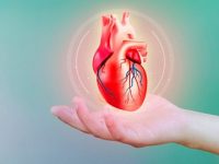 First-ever blood test for myocarditis detects heart inflammation