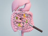 Better understanding the link between inflammation and diabetes