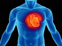 Heart Attack Facts and Statistics: What You Need to Know