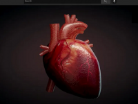 Heart disease and diabetes are interrelated. Here are tips for diabetic patients to keep cardiac problems away