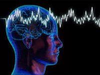 New evidence on the links between immune activation and neuroinflammation and Parkinson’s disease