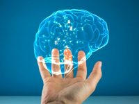 What’s the difference between Alzheimer’s disease and dementia? Why it’s important to understand their similarities and differences