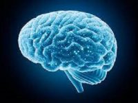 Deteriorating neurons are source of human brain inflammation in Alzheimer’s disease