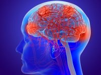 Autopsies Show COVID-19 in the Brain