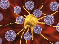 Using systems biology research to alter the properties of carcinogenic cells in the lungs